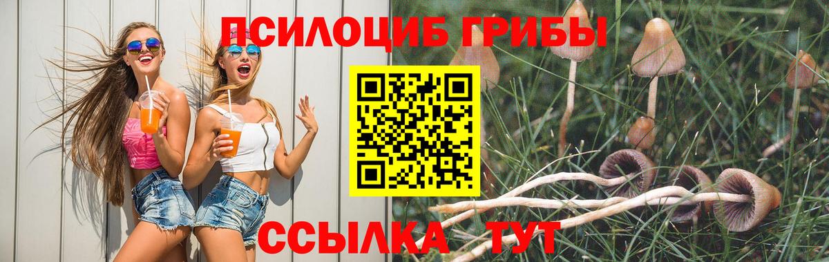 Галлюциногенные грибы MAGIC MUSHROOMS Джанкой
