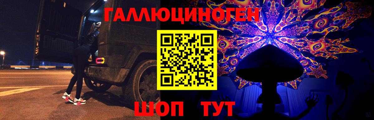 Джанкой  Псилоцибиновые грибы Psilocybine cubensis  Вход с VPN 