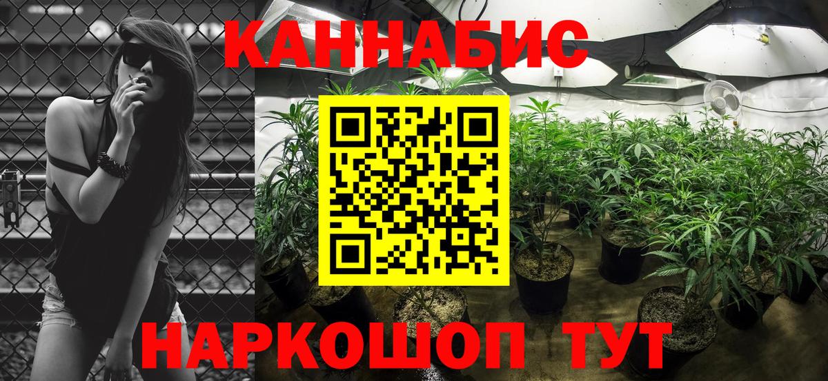 Шишки марихуана OG Kush  Бошки Шишки гибрид  Джанкой  Вход с VPN 